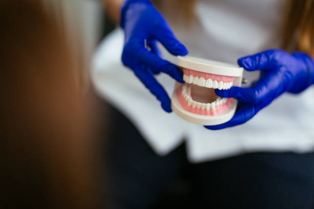  Oro Valley, AZ Holistic Dental Care Services Pros